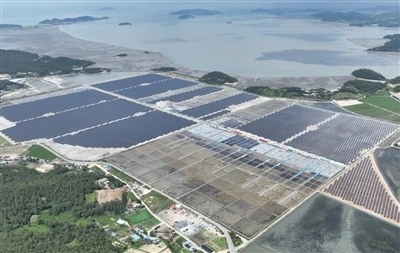 Esmeralda Seven Solar Project: USA tilbagekalder Nevada-godkendelse