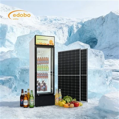 AC/DC Solar Powered Beverage Freezer Glasdør Vinfryser